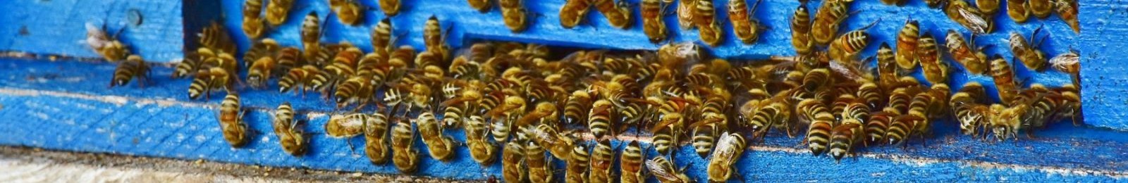 Réunion annulée du Samedi 12 février 2022